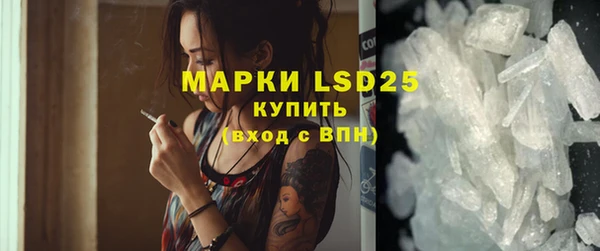 PSILOCYBIN Белокуриха