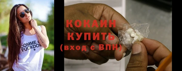 твердый Снежинск