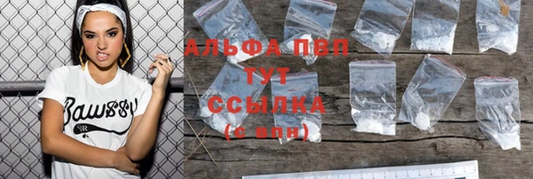 ГАЛЛЮЦИНОГЕННЫЕ ГРИБЫ Белоозёрский