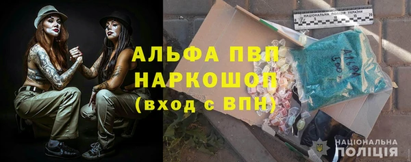 ГАЛЛЮЦИНОГЕННЫЕ ГРИБЫ Белоозёрский