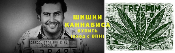 PSILOCYBIN Белокуриха