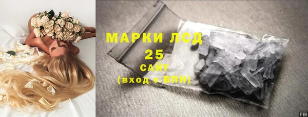 PSILOCYBIN Белокуриха