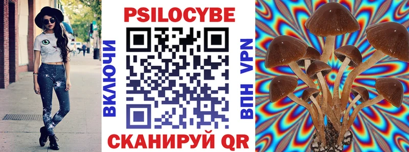 Галлюциногенные грибы Psilocybe  нарко площадка как зайти  Тихвин  ссылка на мегу tor 